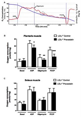 Pravastatin Chronic Treatment Sensitizes Hypercholesterolemic Mice Muscle to Mitochondrial Permeability Transition: Protection by Creatine or Coenzyme Q10